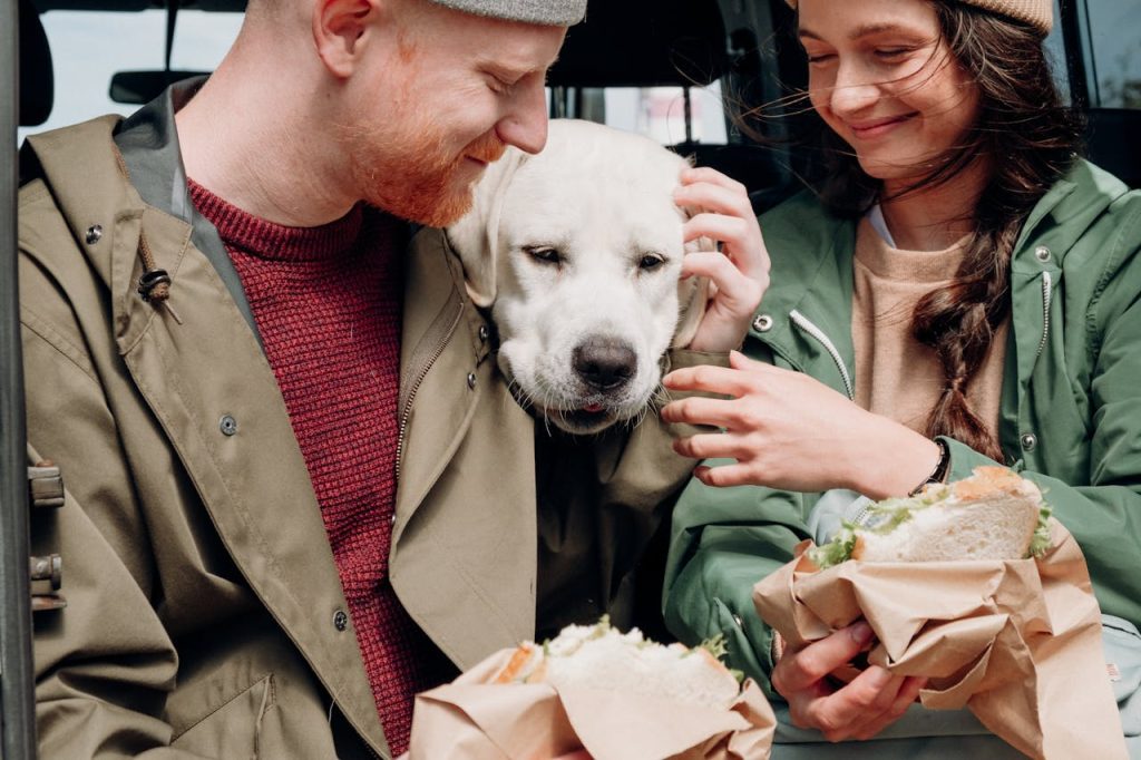 pexels-photo-5079262 Smiling couple shares a moment with their Labrador retriever during an outdoor picnic.