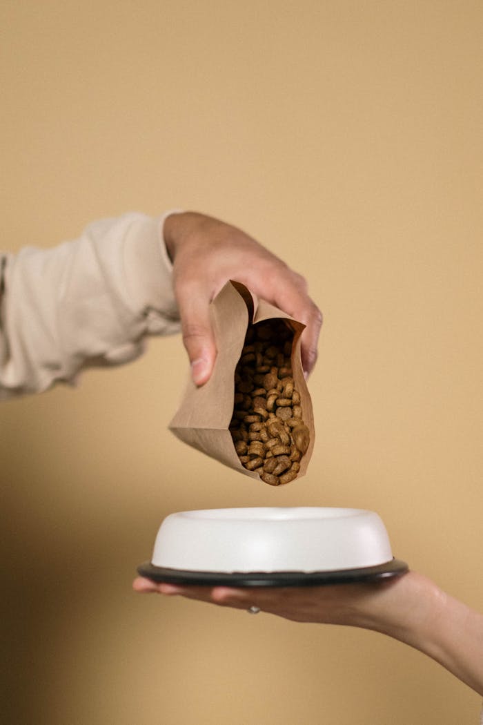 about-03 A hand pouring brown dog food from a paper bag into a white bowl.